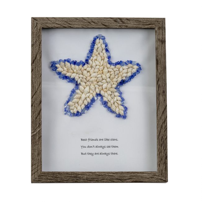 Pirate's Treasure Seashell Art Starfish
