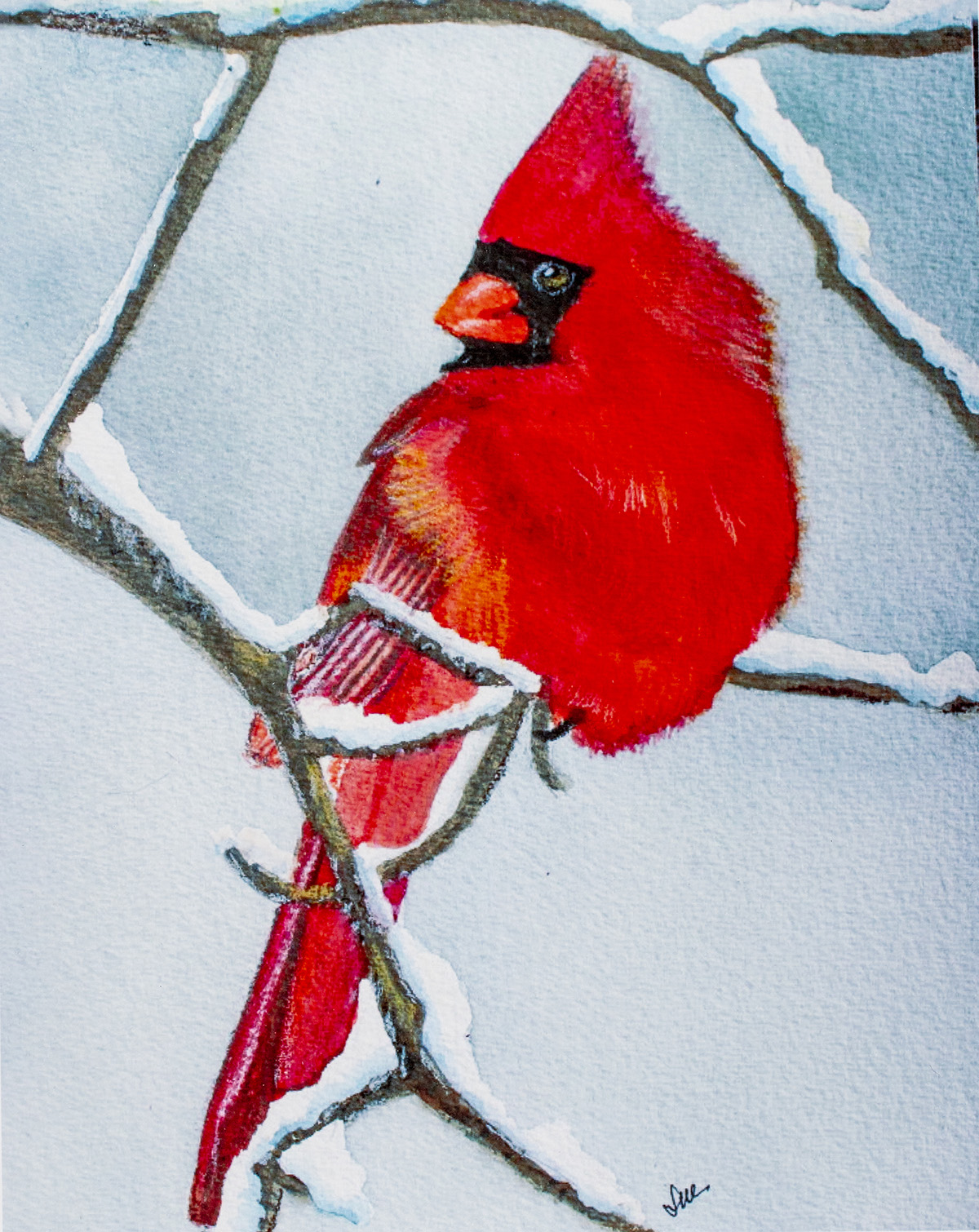 Pirate's Treasure Painting Print Cardinal